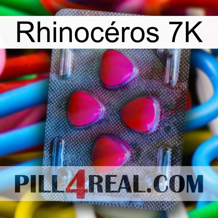 Rhinocéros 7K 13